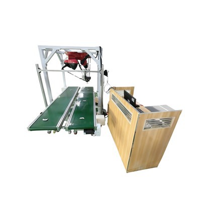 Panangibiig na Saray Robot